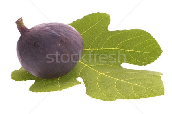 Fraîches fruits feuille isolé blanche alimentaire [[stock_photo]] © joannawnuk