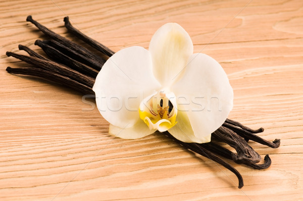 Vanilla pods and flower Stock photo © joannawnuk