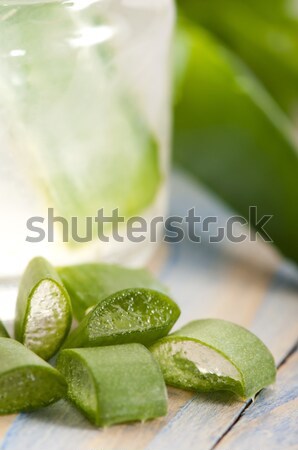Aloesu soku świeże pozostawia charakter liści Zdjęcia stock © joannawnuk