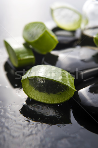 Foto d'archivio: Aloe · foglie · olio · pietra · acqua