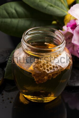 Friss méz méhsejt természet narancs arany Stock fotó © joannawnuk