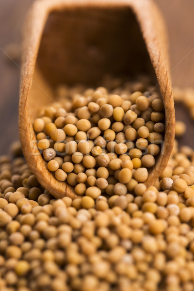 Picant mustar seminţe alimente fierbinte Imagine de stoc © joannawnuk