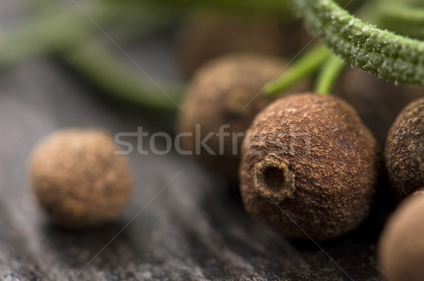 allspice with fresh rosemary Stock photo © joannawnuk