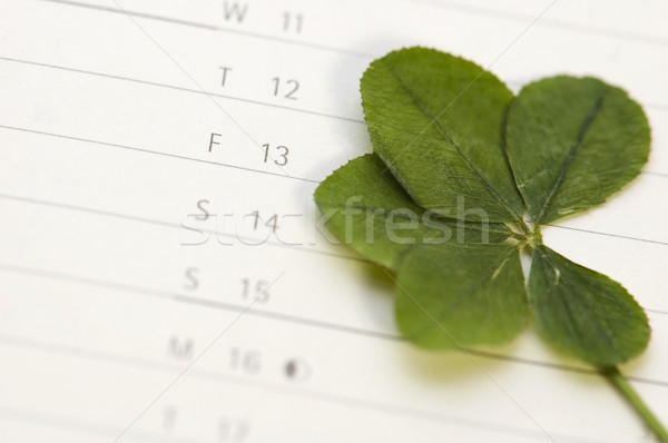 Five Leaf Clover and 13 Friday Stock photo © joannawnuk
