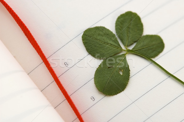 Four Leaf Clover and New Day. Stock photo © joannawnuk