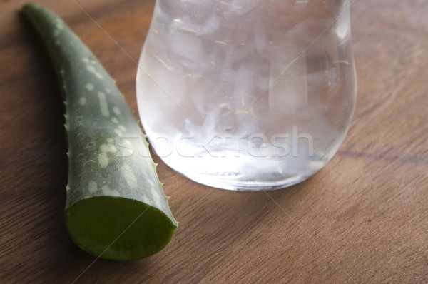 [[stock_photo]]: Aloe · jus · fraîches · laisse · nature · feuille