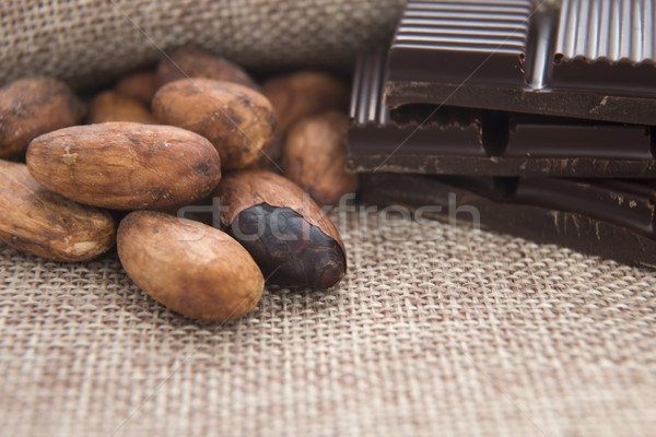 Cacao fagioli cioccolato impianto mangiare grano Foto d'archivio © joannawnuk