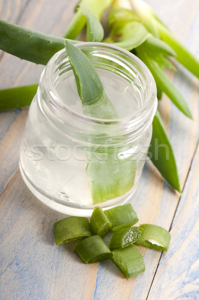 Aloe Saft frischen Blätter Natur Blatt Stock foto © joannawnuk