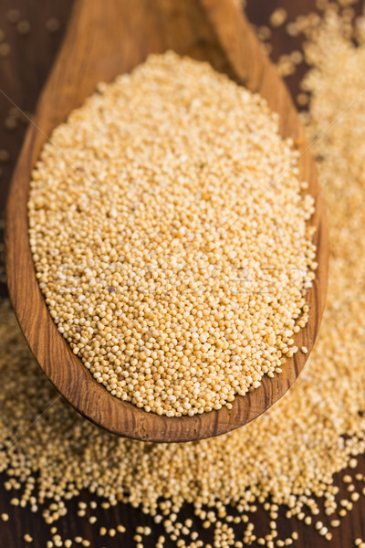 White poppy seeds Stock photo © joannawnuk
