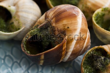 Close up of Escargots with garlic butter  Stock photo © joannawnuk