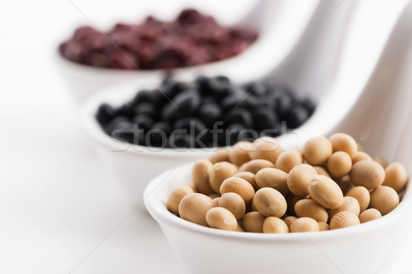tricolor soybeans Stock photo © joannawnuk