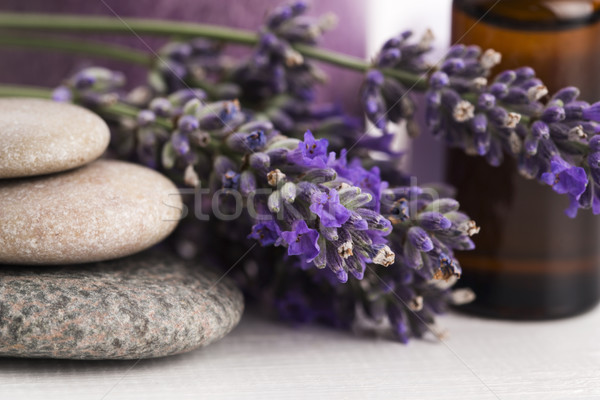 Lavanda flores salud petróleo bano Foto stock © joannawnuk