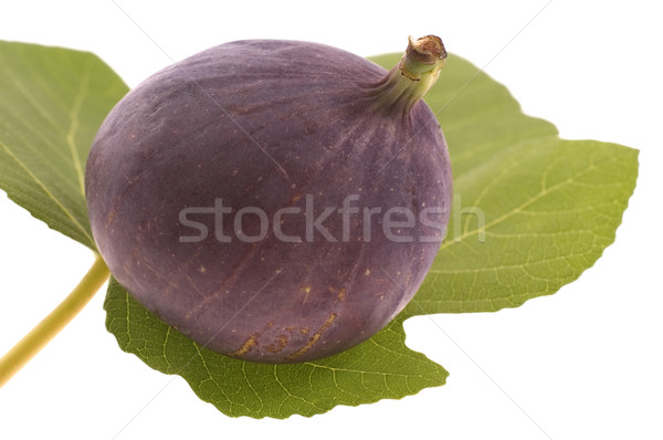 Folha fresco frutas isolado comida natureza Foto stock © joannawnuk