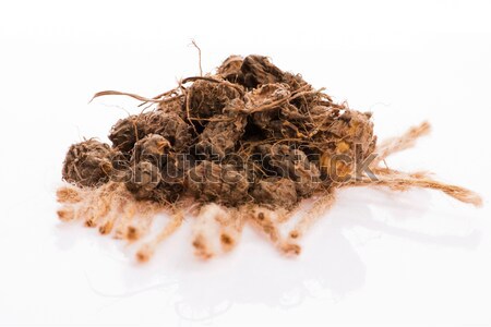 Stock photo: brown muscovado sugar isolated on a white background
