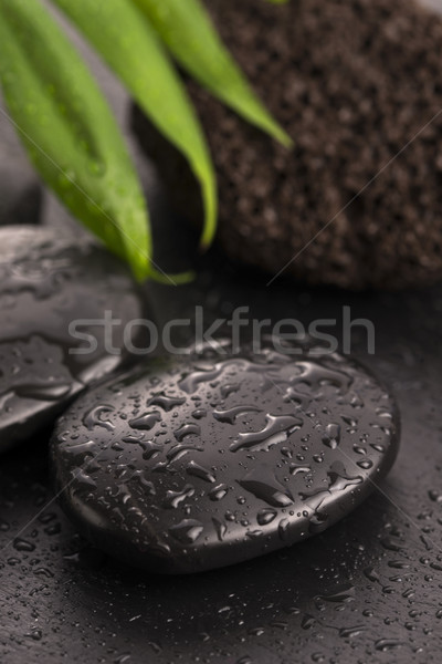 Green leaf on spa stone on wet black surface Stock photo © joannawnuk