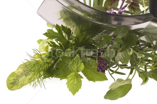 chopping fresh herbs. Stock photo © joannawnuk