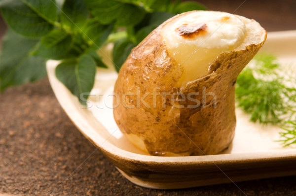 Patates ekşi krema taze gıda cilt Stok fotoğraf © joannawnuk
