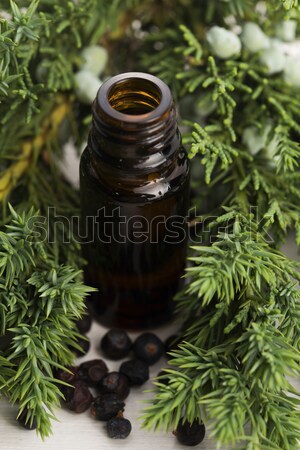 juniper essential oil Stock photo © joannawnuk