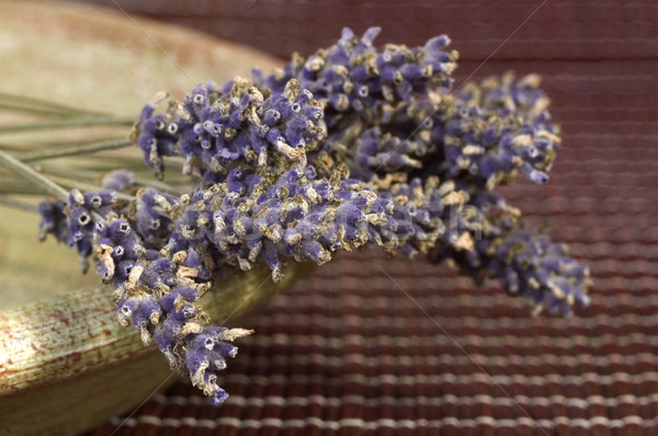 Lavendel Haufen Natur Gesundheit entspannen Innenraum Stock foto © joannawnuk