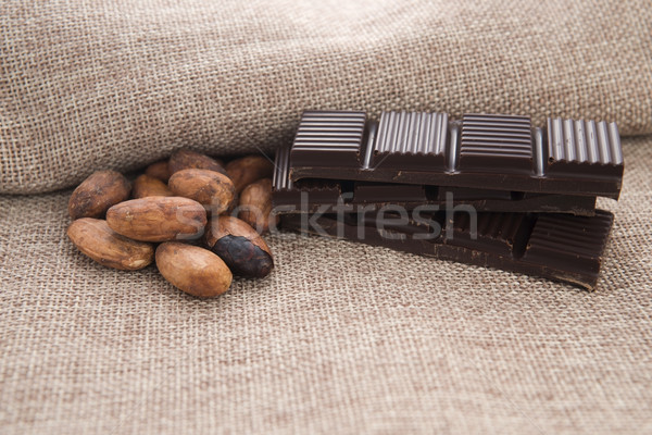 Cacau feijões chocolate planta comer grão Foto stock © joannawnuk