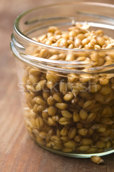 Wheat Germs Stock photo © joannawnuk