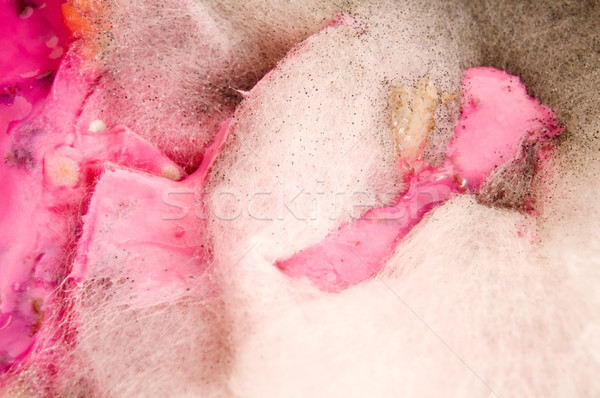 Soup damaged by mold, extreme closeup of texture  Stock photo © joannawnuk