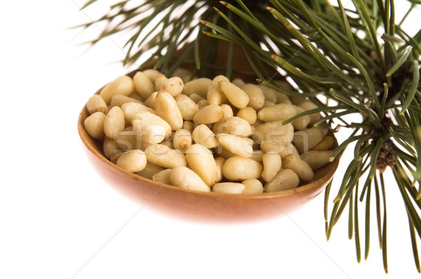 Pine nuts Stock photo © joannawnuk