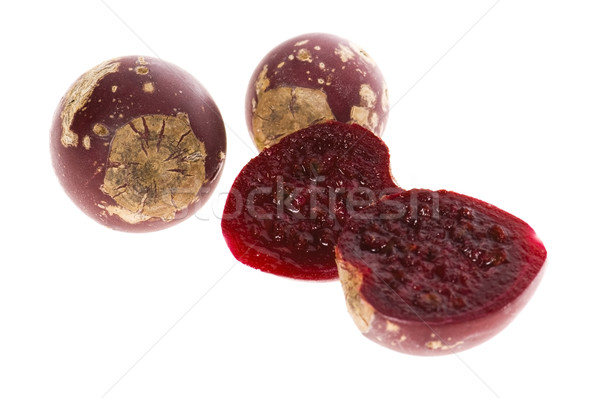 Prickly pear cactus ( Opuntia ficus-indica ) with red fruits Stock photo © joannawnuk