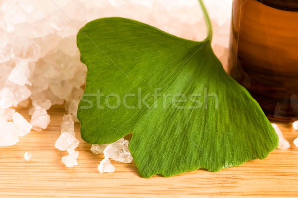 fresh leaves ginko biloba essential oil and sea salt - beauty tr Stock photo © joannawnuk