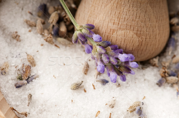 Lavender Sugar Stock photo © joannawnuk