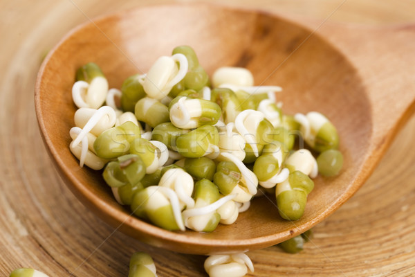 Stock photo: Sprouted mung beans