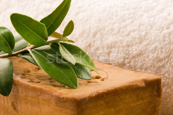 Natural Olive Soap With Fresh Branch Stock photo © joannawnuk