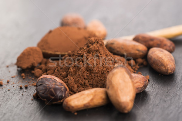 Kakao Bohnen Pulver Löffel Essen Anlage Stock foto © joannawnuk