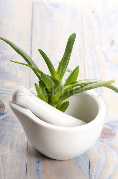 Stock foto: Aloe · Kräutermedizin · Gesundheit · Medizin · Haut · Anlage