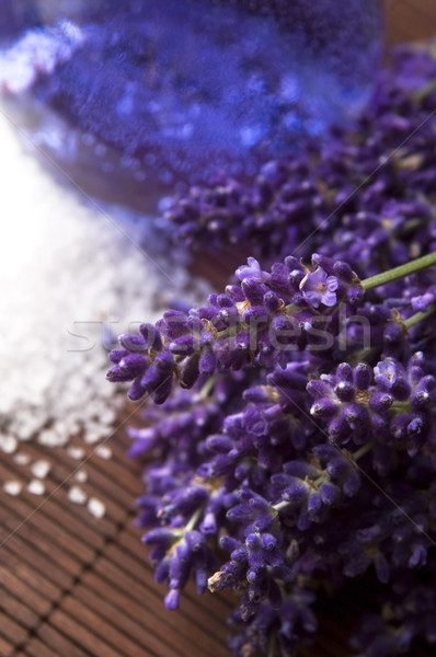 Lavendel bloemen natuur lichaam Stockfoto © joannawnuk