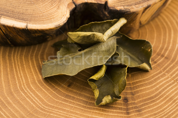 Cassia leaves Stock photo © joannawnuk