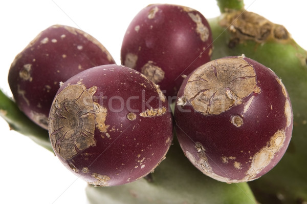 Prickly pear cactus ( Opuntia ficus-indica ) with red fruits Stock photo © joannawnuk