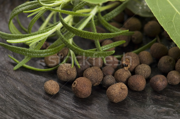 allspice with fresh rosemary Stock photo © joannawnuk