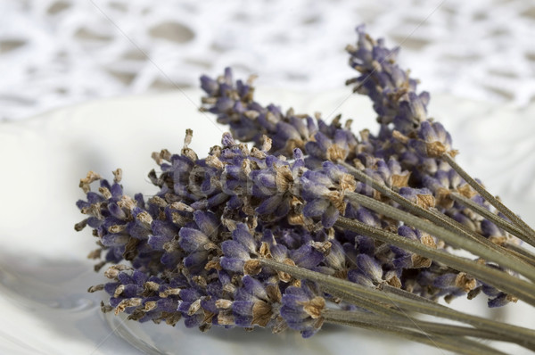 Foto d'archivio: Lavanda · natura · salute · tavola · autunno · doccia
