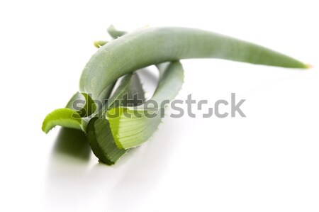 Aloe phytothérapie santé médecine peau usine [[stock_photo]] © joannawnuk