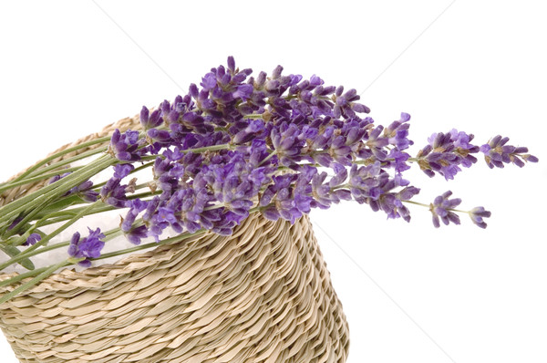 Stock photo: lavender bath