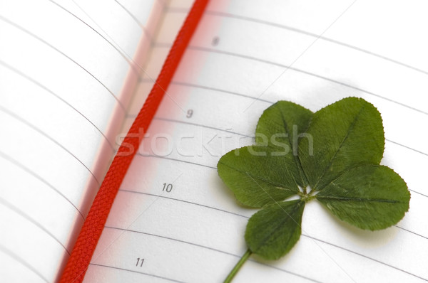 Five Leaf Clover and New Day. Stock photo © joannawnuk
