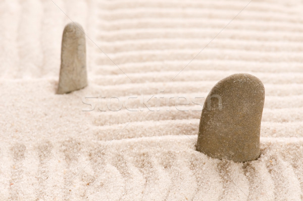 Zen. Stone and sand  Stock photo © joannawnuk