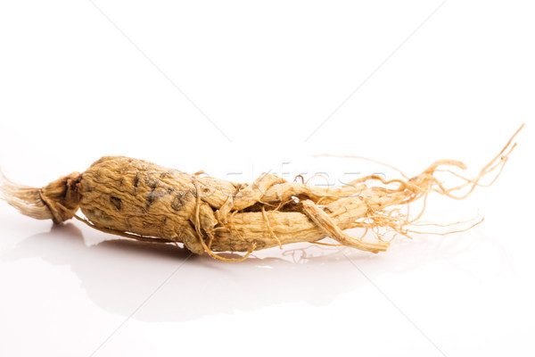 Ginseng wortel gezondheid energie leven chinese Stockfoto © joannawnuk