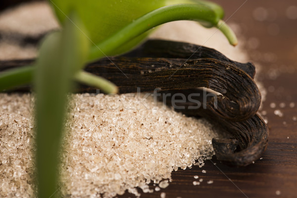 Vanille suiker bonen voedsel hout lepel Stockfoto © joannawnuk
