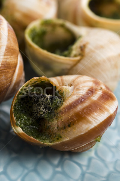 Close up of Escargots with garlic butter  Stock photo © joannawnuk