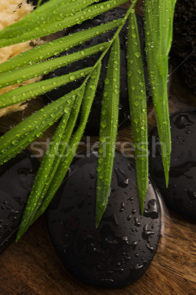 Spa still life, with green leaf, stones and water Stock photo © joannawnuk