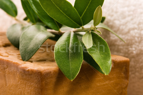 Natural Olive Soap With Fresh Branch Stock photo © joannawnuk