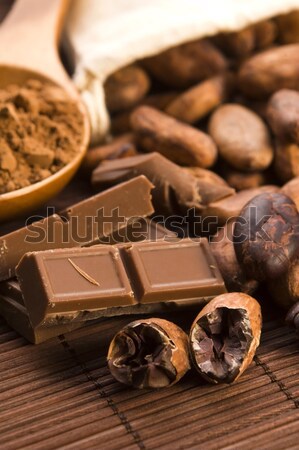 chocolate with coffee beans, spices and nuts Stock photo © joannawnuk