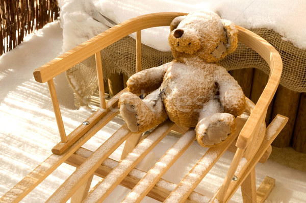 Teddy Bear toy and slide with snow covering Stock photo © joannawnuk